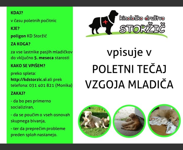 Copy - Flyer (1)